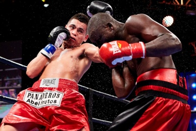 Boxeo: Canelo Álvarez expondrá en Las Vegas su cuádruple corona ante Munguía
