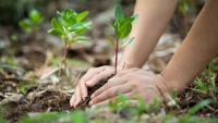 Quilmes: Realizan una capacitación y entrega de árboles nativos en el Vivero Municipal
