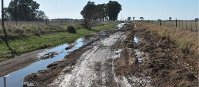 Campo: Licitan obras por 1300 millones para mejorar caminos rurales