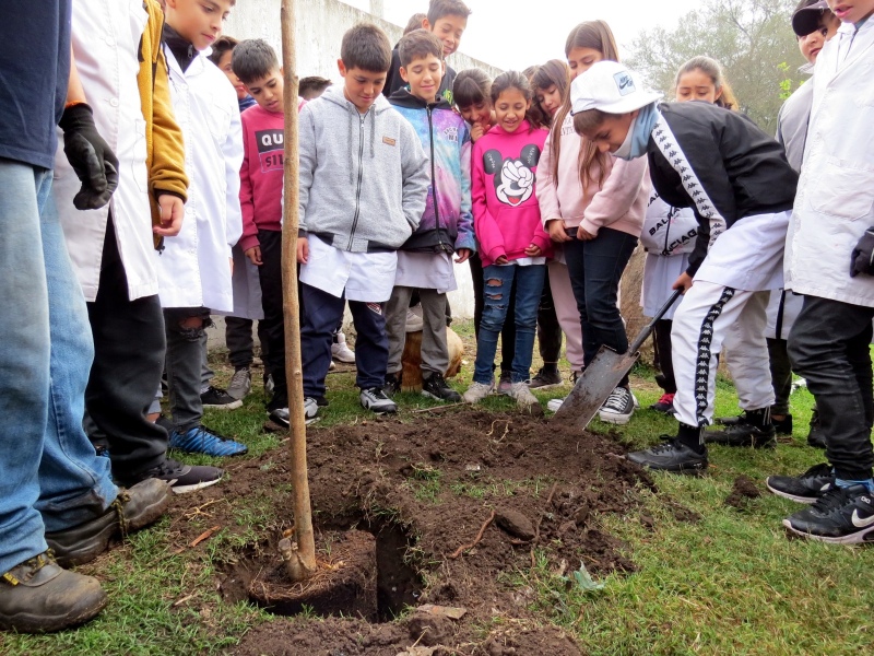 Mar del Plata: El Municipio continúa impulsando la plantación de árboles de la ciudad